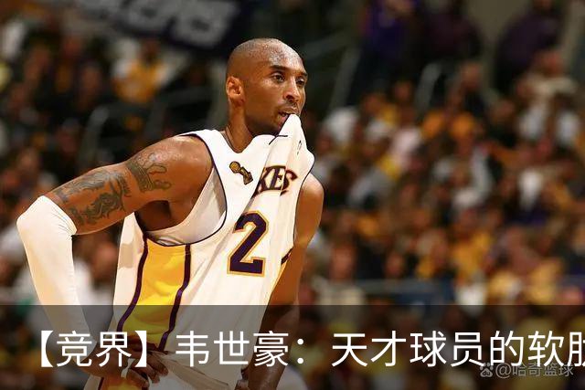 【竞界】韦世豪：天才球员的软肋 洪七公效应的外溢
